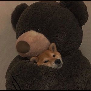 Meet your Posher, Jestine